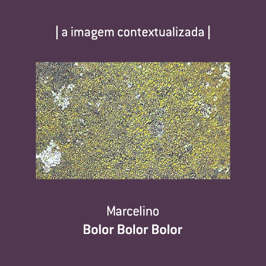 |a imagem contextualizada|-2