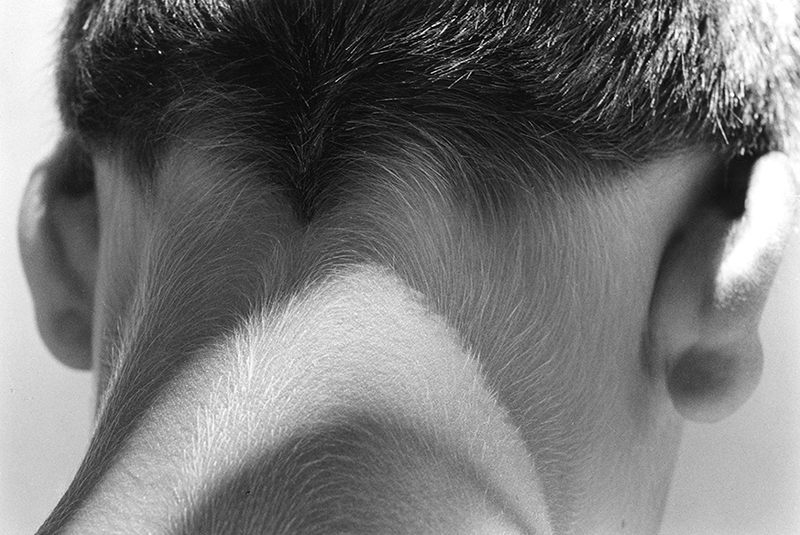 Gérard Castello-Lopes, Figueira do Guincho, 1988 Gérard Castello-Lopes, Figueira do Guincho, 1988